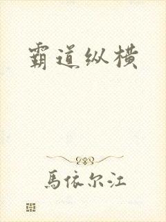 霸道纵横封面
