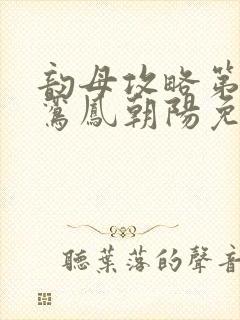 韵母攻略第二部鸾凤朝阳免费阅读封面