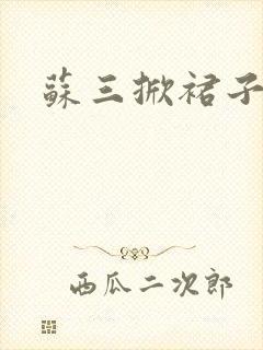 苏三掀裙子