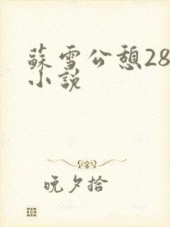 苏雪公憩28篇小说