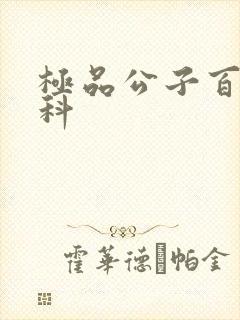 极品公子百度百科