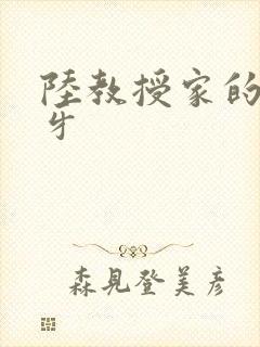 陆教授家的小月牙