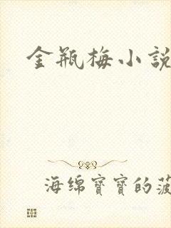 金瓶梅小说下载