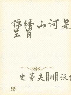 锦绣山河是什么生肖封面