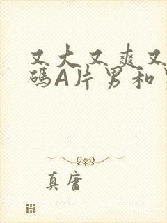 又大又爽又黄无码A片男和男