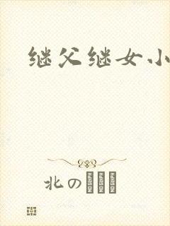 继父继女小说