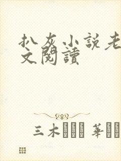 扒灰小说老马全文阅读封面