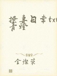 撩妻日常txt青灯