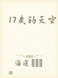 17岁的天空