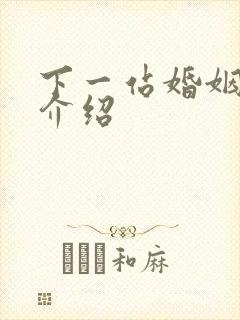 下一站婚姻剧情介绍封面