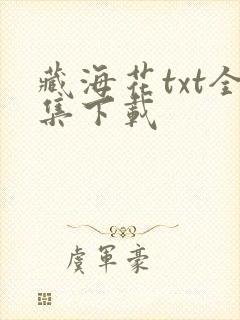 藏海花txt全集下载