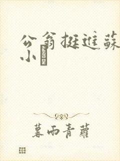 公翁挺进苏玥的小泬