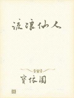 流浪仙人封面