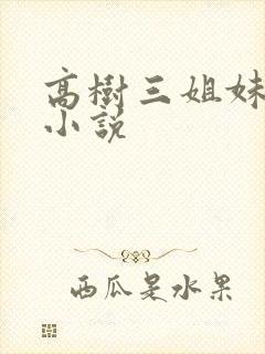 高树三姐妹有声小说封面
