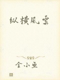 纵横风云封面