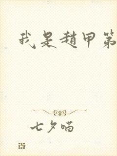 我是赵甲第小说