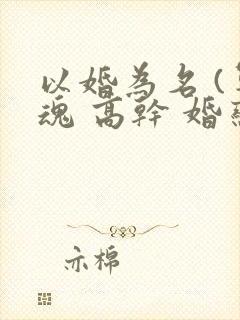 以婚为名 (军魂 高干 婚恋)