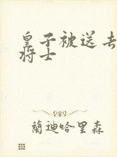 皇子被送去犒劳将士
