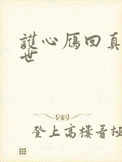 护心雁回真实身世封面