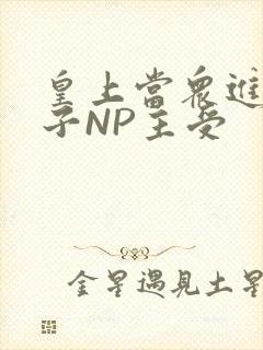 皇上当众进入太子NP主受