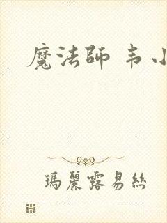 魔法师 韦小宝