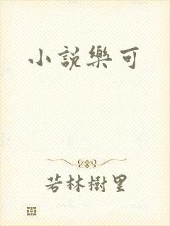 小说乐可