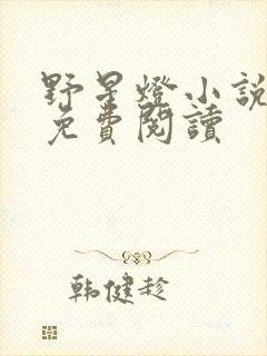 野星灯小说全文免费阅读封面
