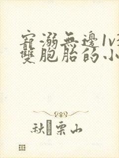 宠溺无边1v3双胞胎的小说