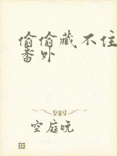 偷偷藏不住新婚番外