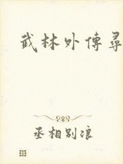 武林外传寻宝封面