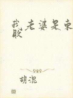 我老婆是东方不败