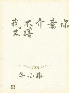 我不介意你又丑又瞎封面