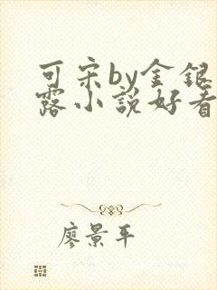可宋by金银花露小说好看吗封面