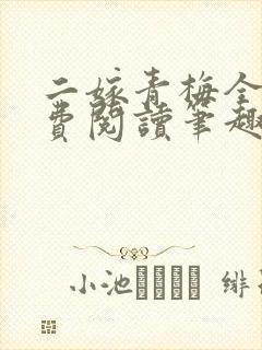 二嫁青梅全文免费阅读笔趣阁