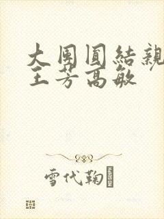 大团圆结亲情会王芳高敏封面