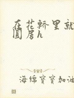在花轿里就开始圆房h