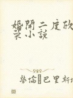 婚开二度欣欣向荣小说封面