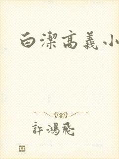 白洁高义小说