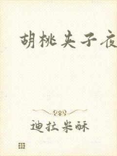 胡桃夹子夜未眠封面
