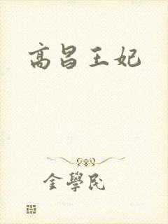 高昌王妃封面