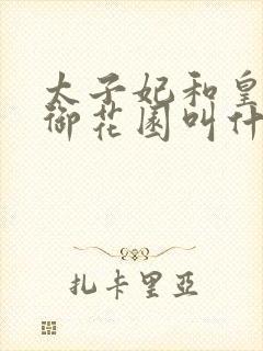 太子妃和皇帝在御花园叫什么小说
