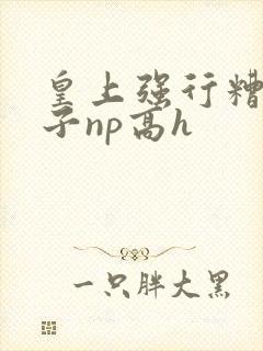皇上强行糟蹋太子np高h