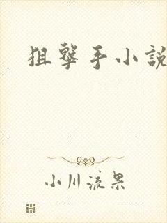 狙击手小说