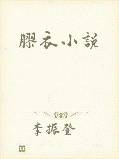 胶衣小说封面