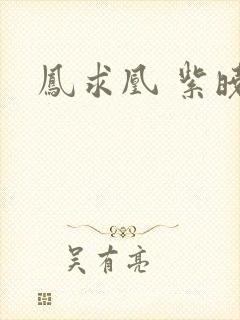 凤求凰 紫晓
