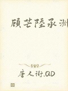 顾芒陆承洲封面
