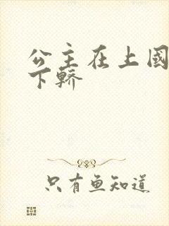 公主在上国师请下轿封面