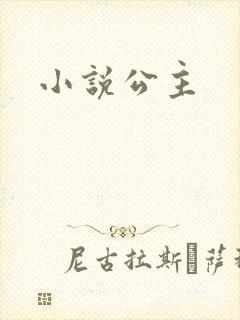 小说公主
