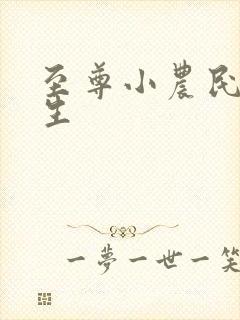 至尊小农民王木生封面