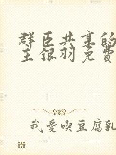 群臣共享的小公主银羽免费阅读封面